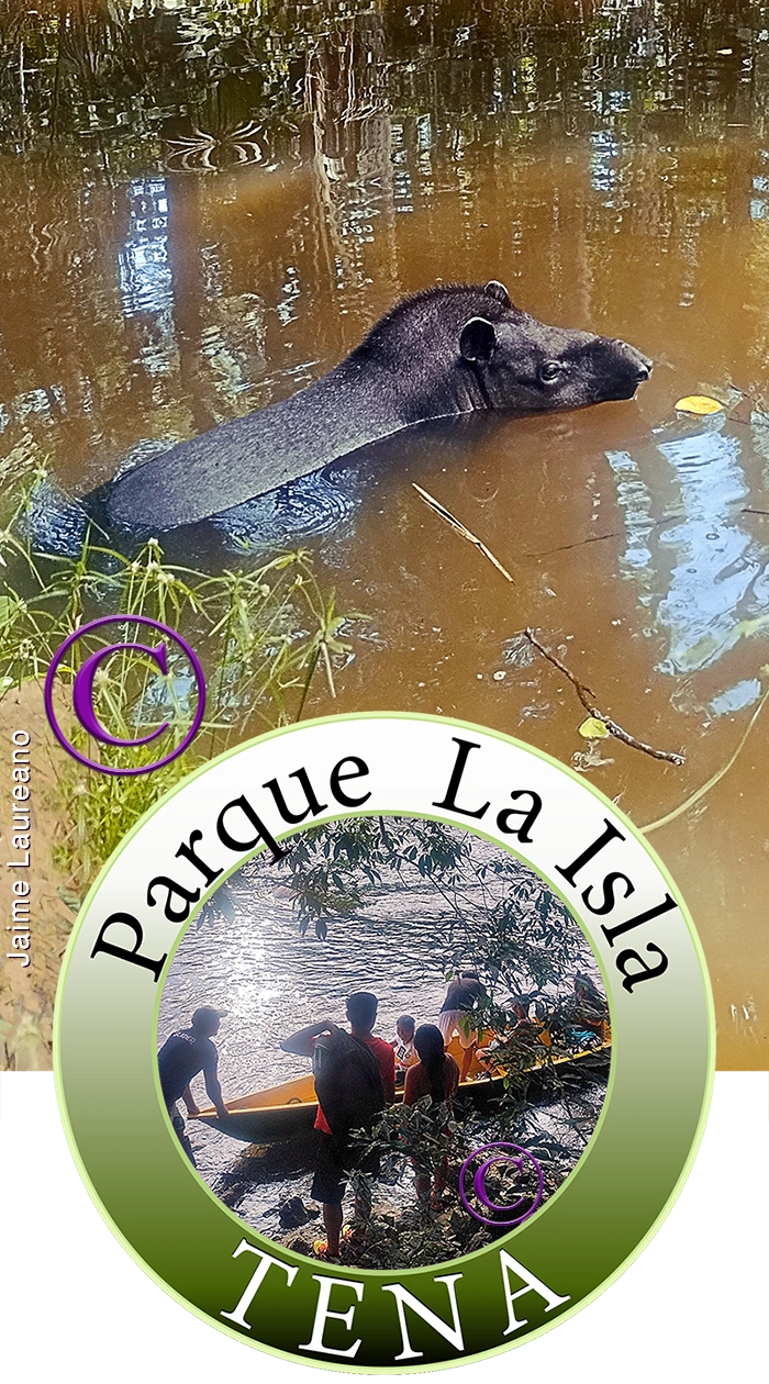 Tours Amazonicas en TENA ECUADOR 